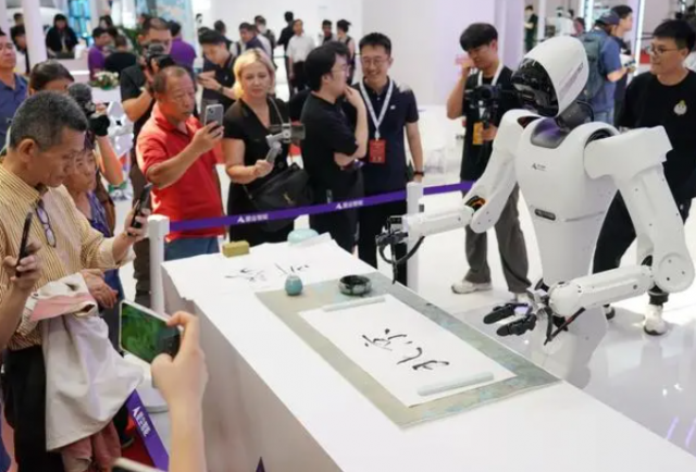 2024世界机器人大会观众