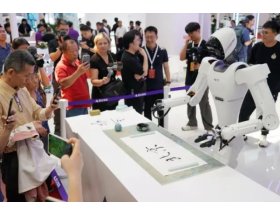 2024世界机器人大会观众